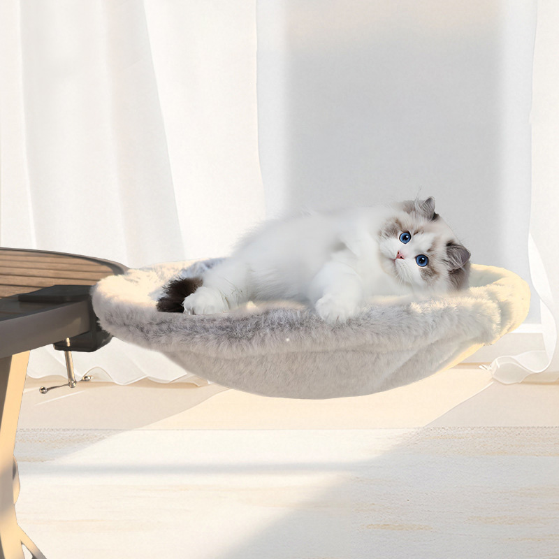 Cat Floating Bed